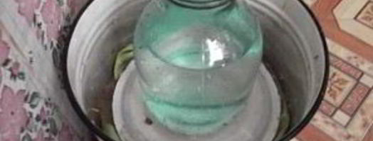 квашеная капуста без соли. Шаг 6