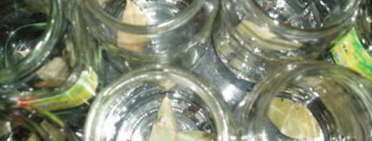 лечо по-домашнему. Шаг 8