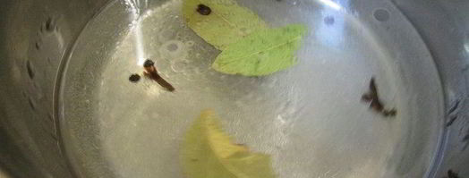 маринованная тыква. Шаг 6