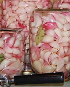 Маринованный чеснок