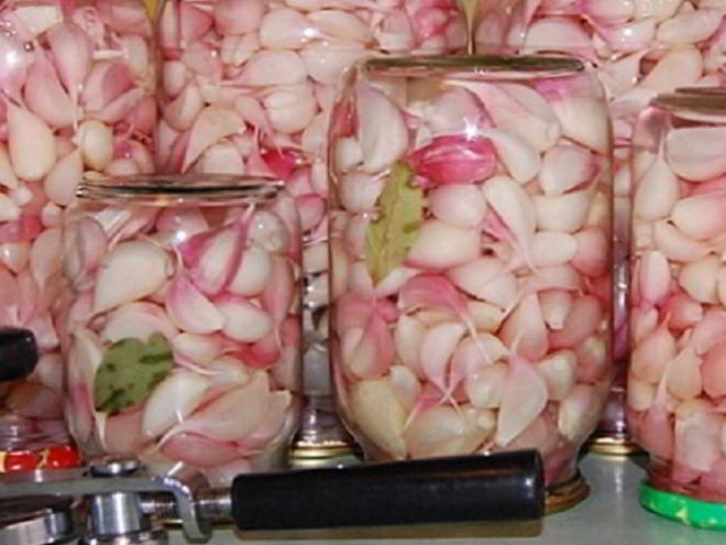 Рецепт маринованного чеснока