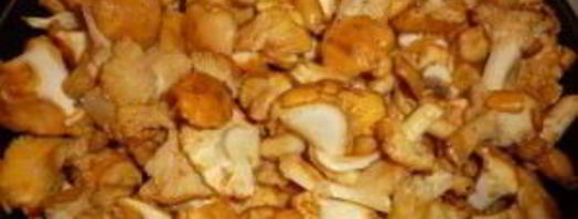 маринованные лисички с яблочным уксусом. Шаг 3