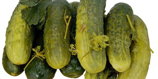 Маринованные огурцы без стерилизации