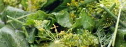 маринованные огурцы без стерилизации. Шаг 3