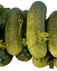 Маринованные огурцы