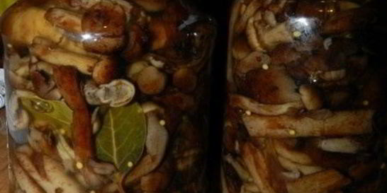 Маринованные опята с горчицей