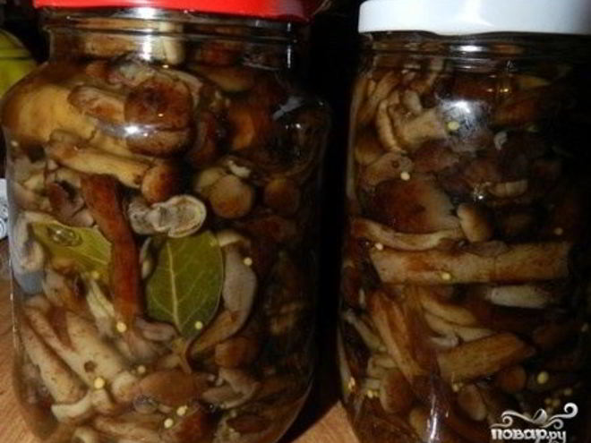 Рецепт маринованных опят с горчицей