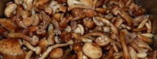 маринованные опята с горчицей. Шаг 3