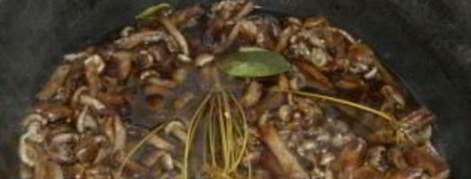 маринованные опята с горчицей. Шаг 5