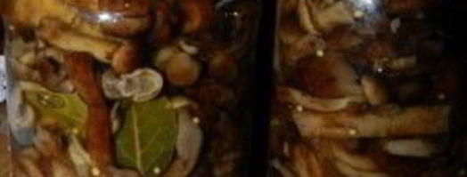 маринованные опята с горчицей. Шаг 9