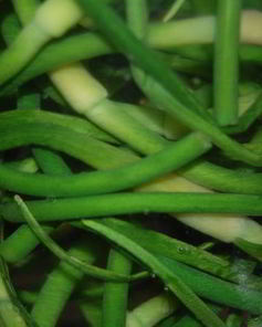 Маринованные стрелки чеснока