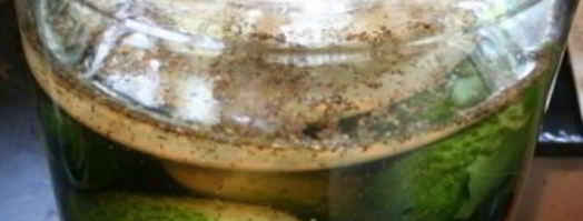 огурцы холодным способом на зиму. Шаг 6