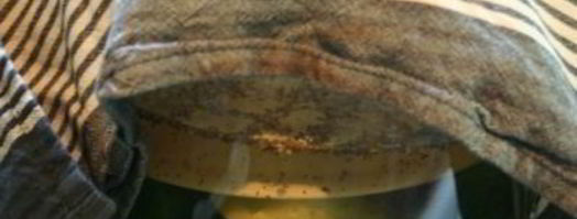 огурцы холодным способом на зиму. Шаг 7