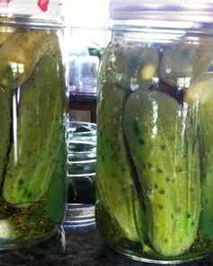 Огурцы на зиму хрустящие