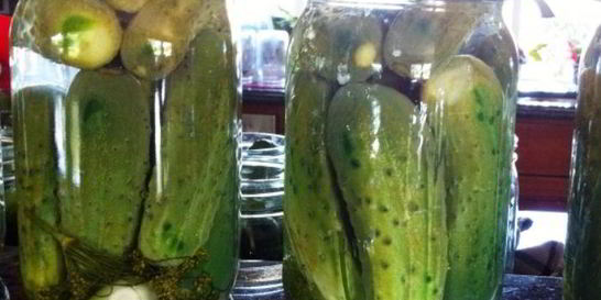 Огурцы на зиму хрустящие