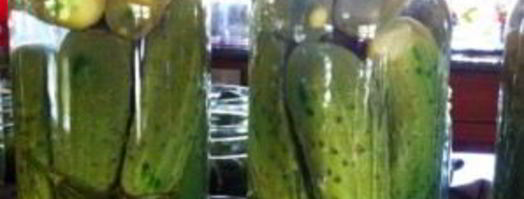 огурцы на зиму хрустящие. Шаг 5