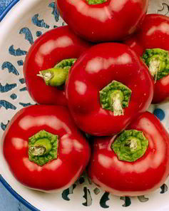 Перец ратунда на зиму