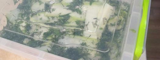 быстрые малосольные кабачки. Шаг 12