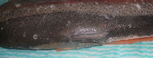 форель малосольная. Шаг 6