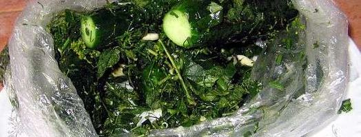 малосольные огурчики. Шаг 14