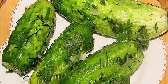 Малосольные огурцы в пакете