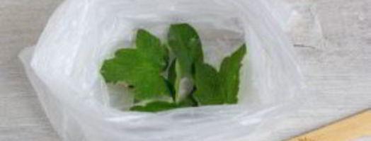 малосольные овощи в пакете. Шаг 3