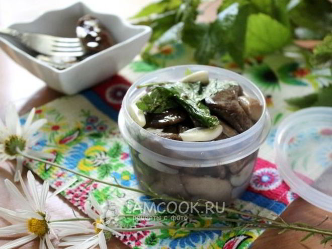 Рецепт малосольных подберезовиков
