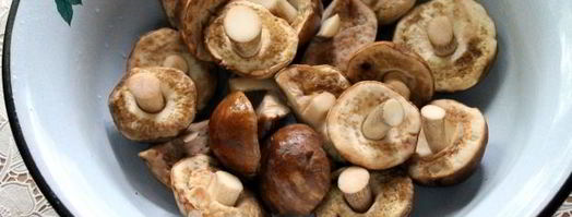 малосольные подберезовики. Шаг 7