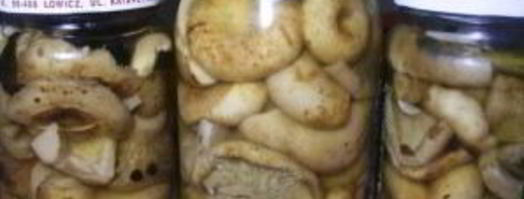 соленые грибы со сметаной. Шаг 4