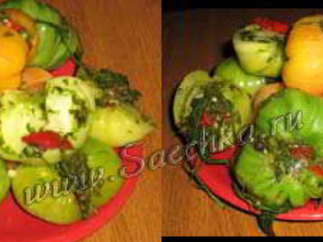 Рецепт соленых зеленых помидоров