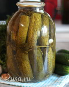 Соленые огурцы в банке на зиму