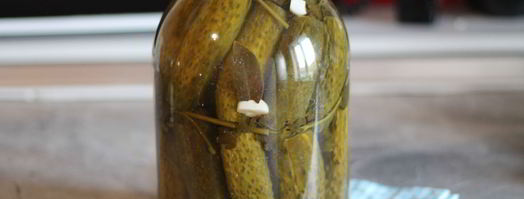 соленые огурцы в банке на зиму. Шаг 8