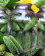 Свежие огурцы на зиму