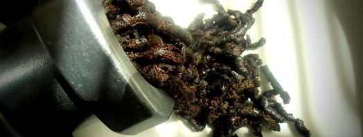 варенье для иммунитета. Шаг 4