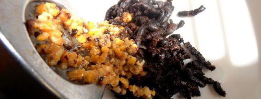 варенье для иммунитета. Шаг 8