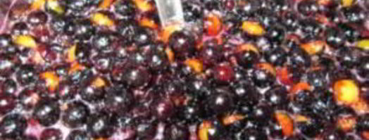 варенье из терна с косточками. Шаг 3