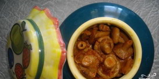 Волнушки на зиму