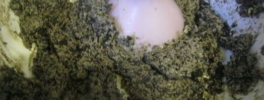 брускетта с кремом из маслин и помидорами. Шаг 5