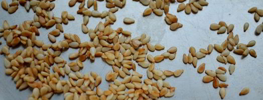 брускетта с рыбой, творогом и кабачком. Шаг 4