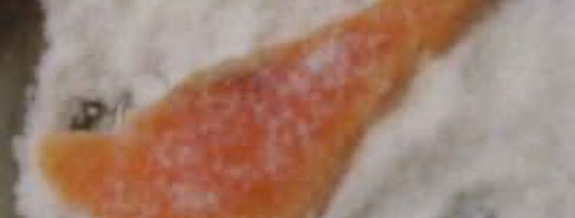 форель бутербродная. Шаг 11