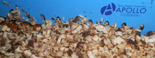 яйца фаршированные с грибами. Шаг 3