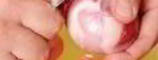 холодец гояжьей рульки и копыта. Шаг 5