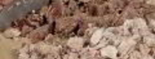 холодец из свинины и телятины. Шаг 3