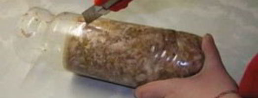 куриный холодец в бутылке. Шаг 5