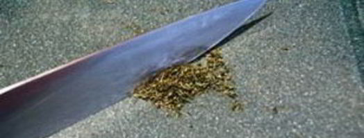 паштет из индейки с рукколой. Шаг 4