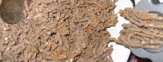 паштет с вялеными томатами и изюмом по-чешски. Шаг 6