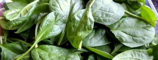 селедочный паштет на фасолевых котлетах. Шаг 18