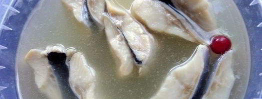 селедочный паштет на фасолевых котлетах. Шаг 10