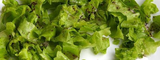 сырный паштет из цукини с миндалем. Шаг 12