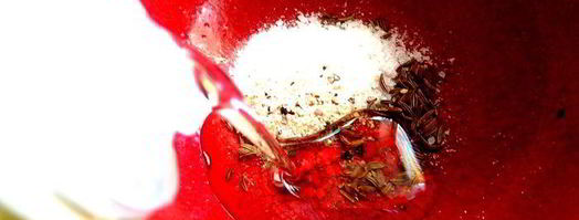 маринованные роллы из молодых кабачков. Шаг 12